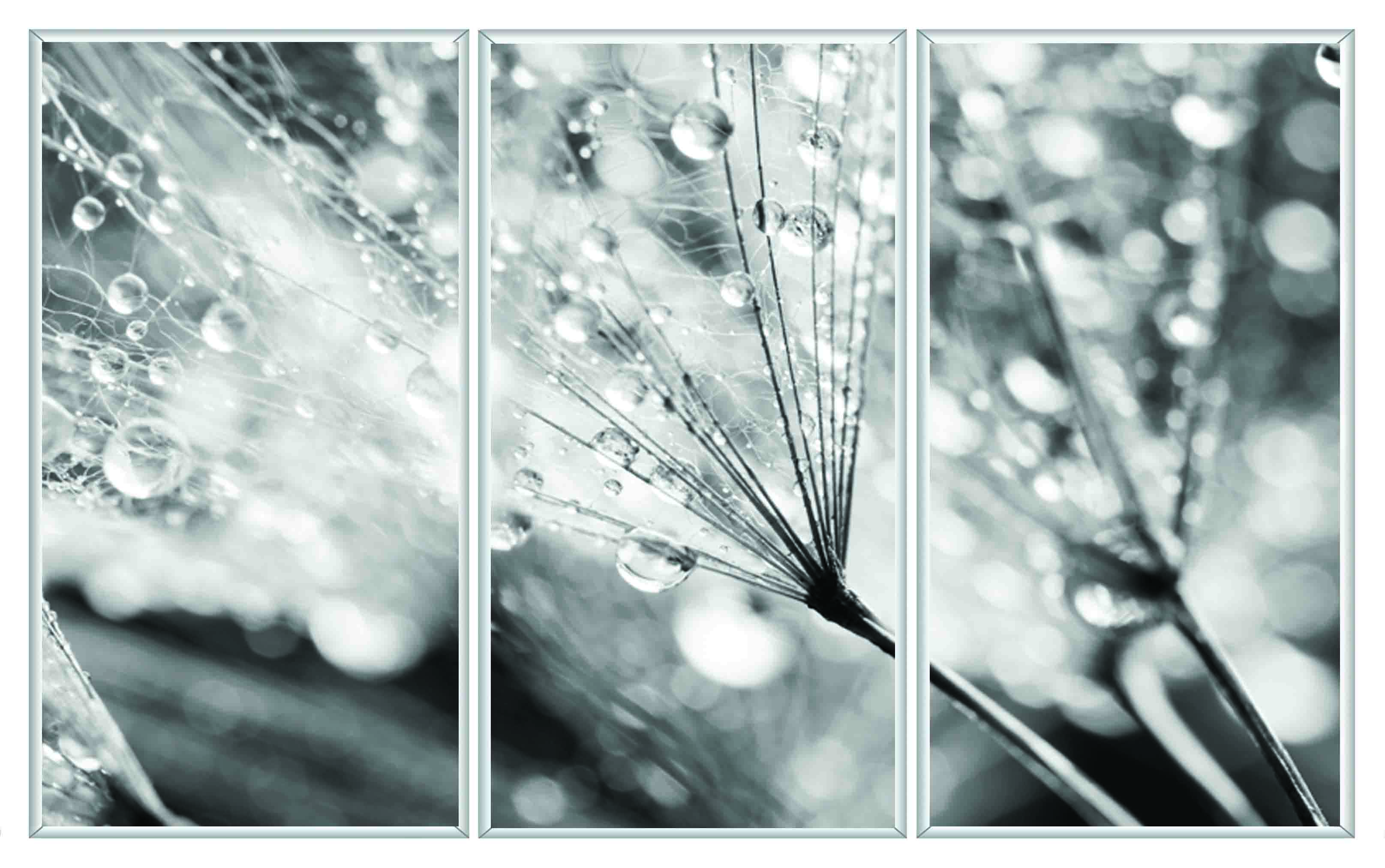 ASG414 Wall décor art printed on glass B&W botanical set of 3